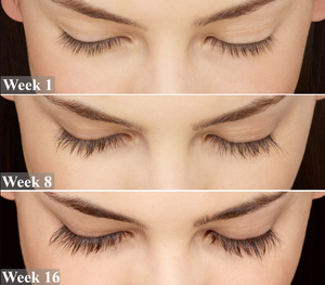 Lash & Brow